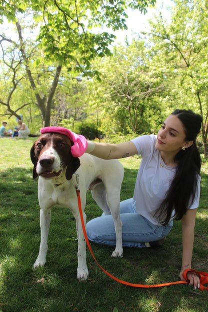 GuardPaw™ Say No To Ticks