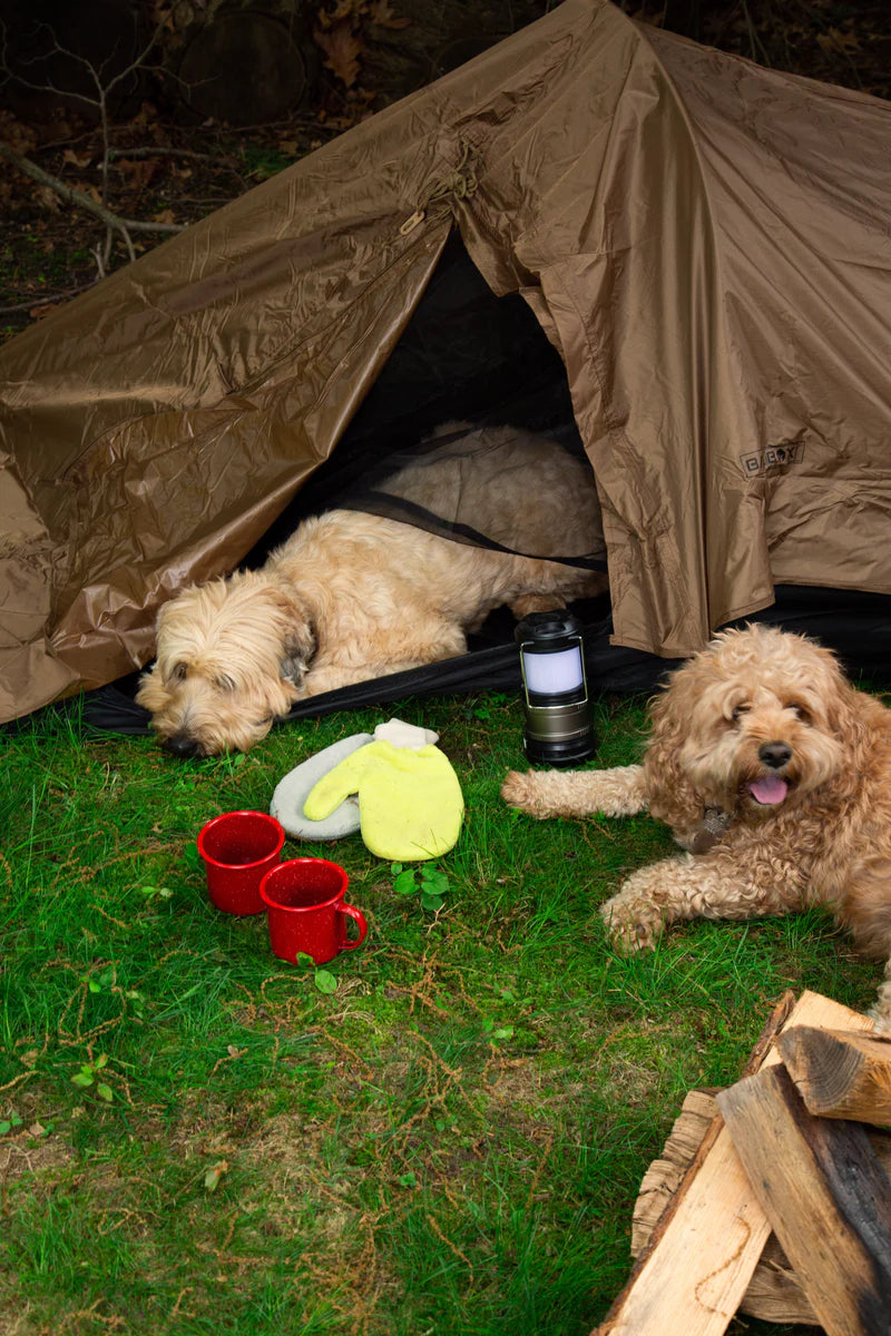 GuardPaw™ Say No To Ticks