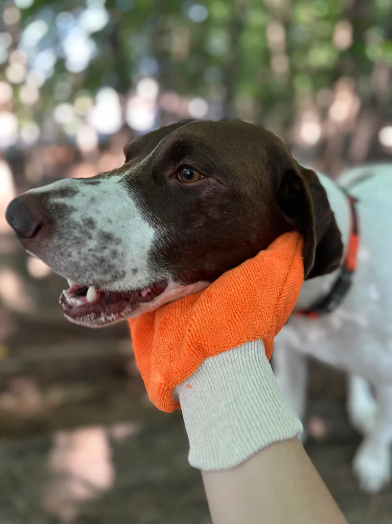GuardPaw™ Say No To Ticks