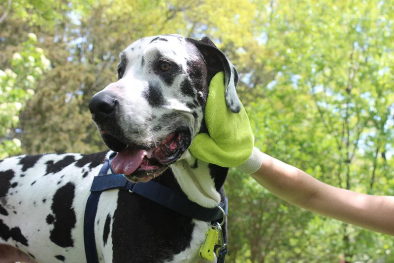 GuardPaw™ Say No To Ticks